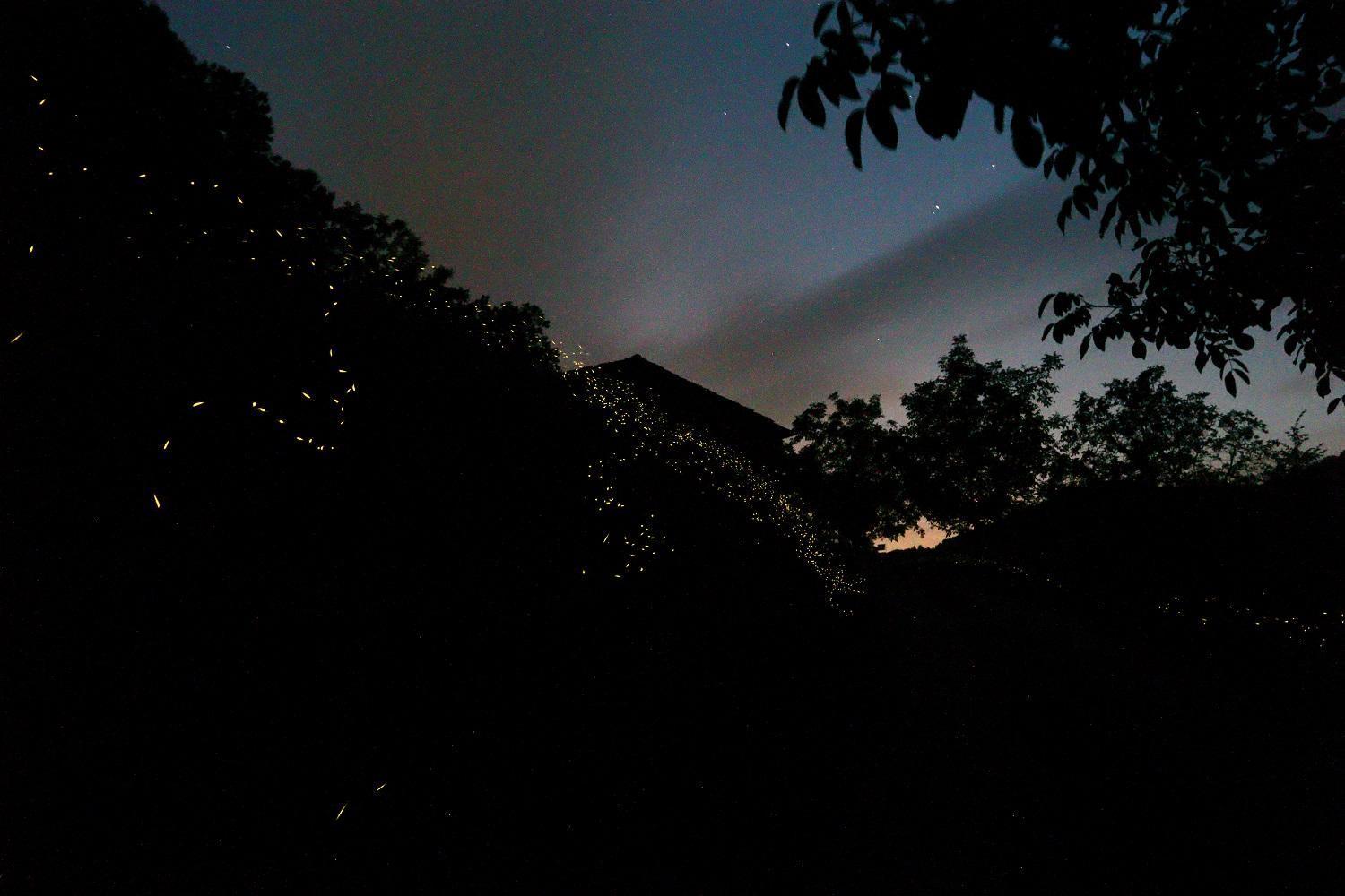 Mimmo'S Holiday House San Godenzo Buitenkant foto
