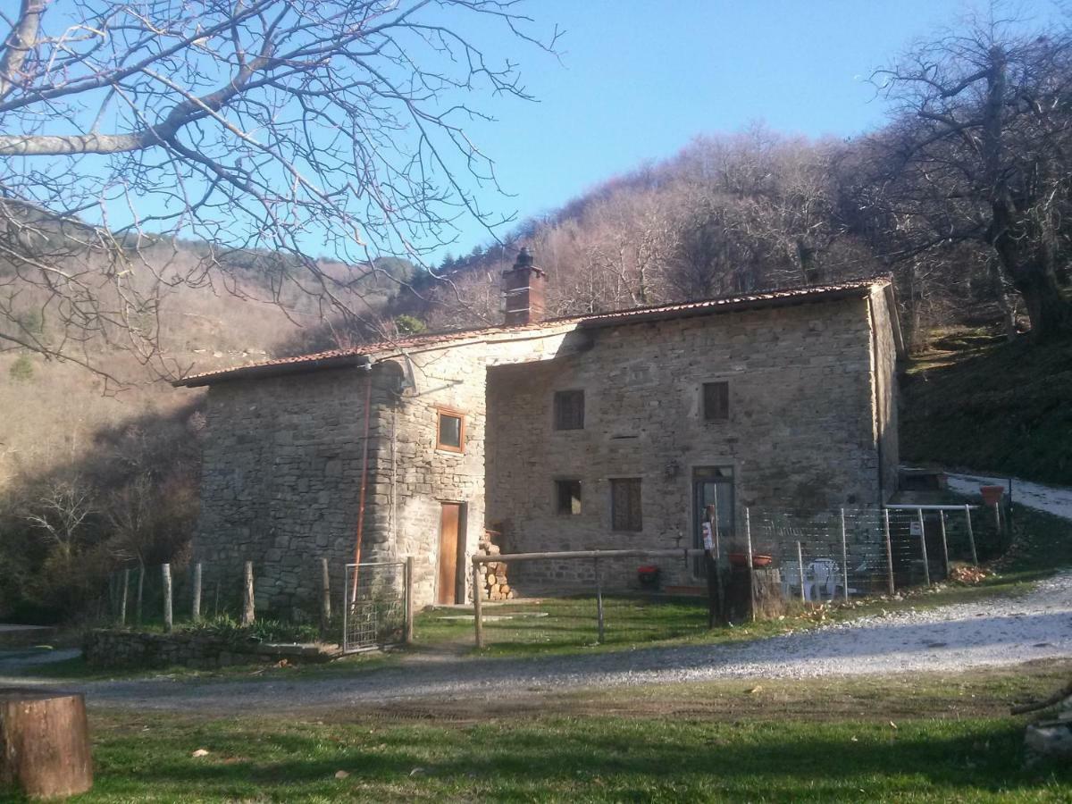 Mimmo'S Holiday House San Godenzo Buitenkant foto